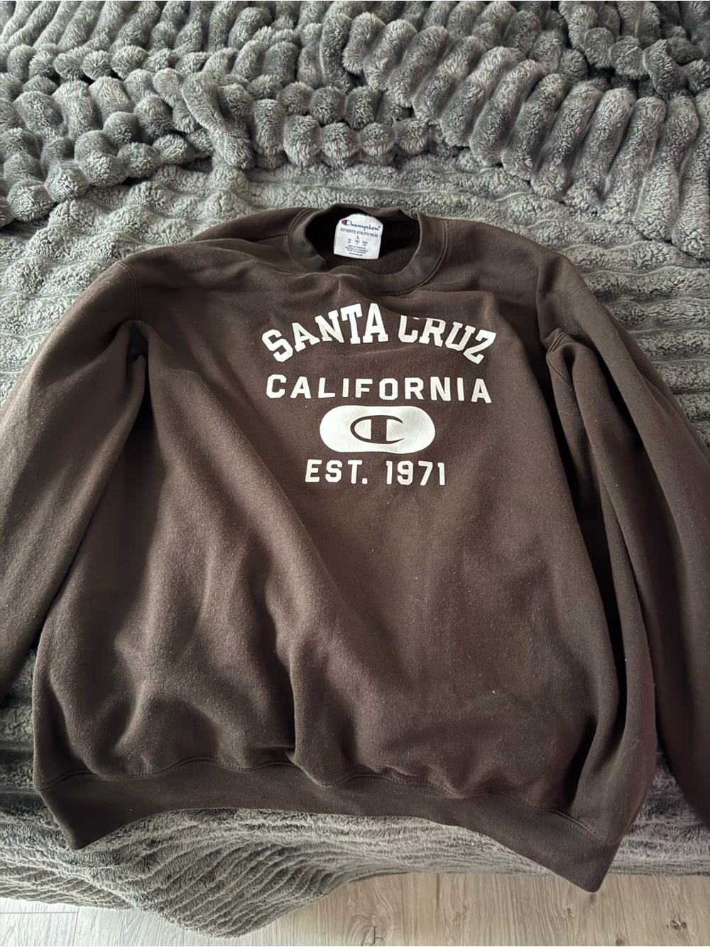 Champion Brown Santa Cruz California Crewneck Sweatshirt